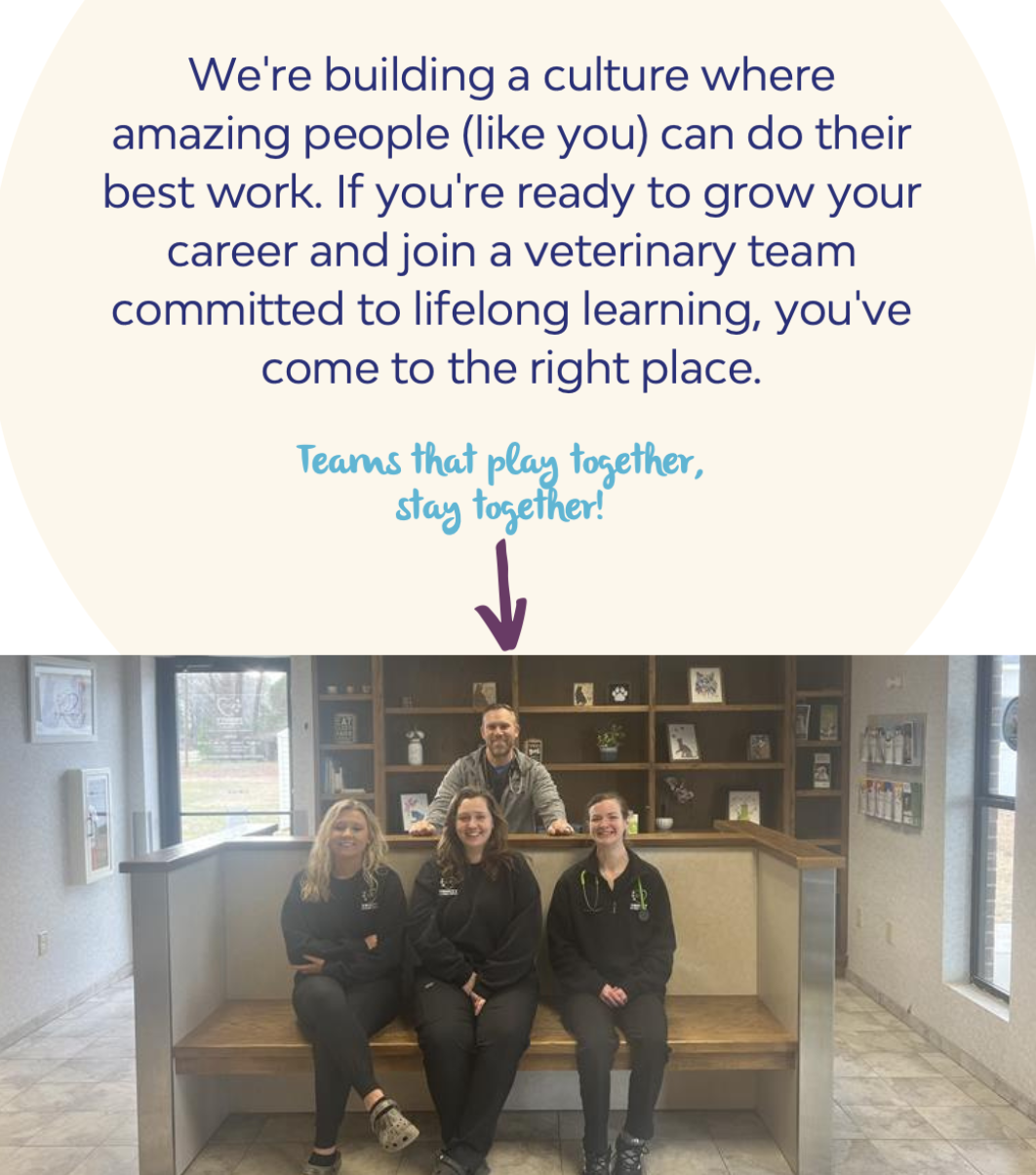 veterinary team